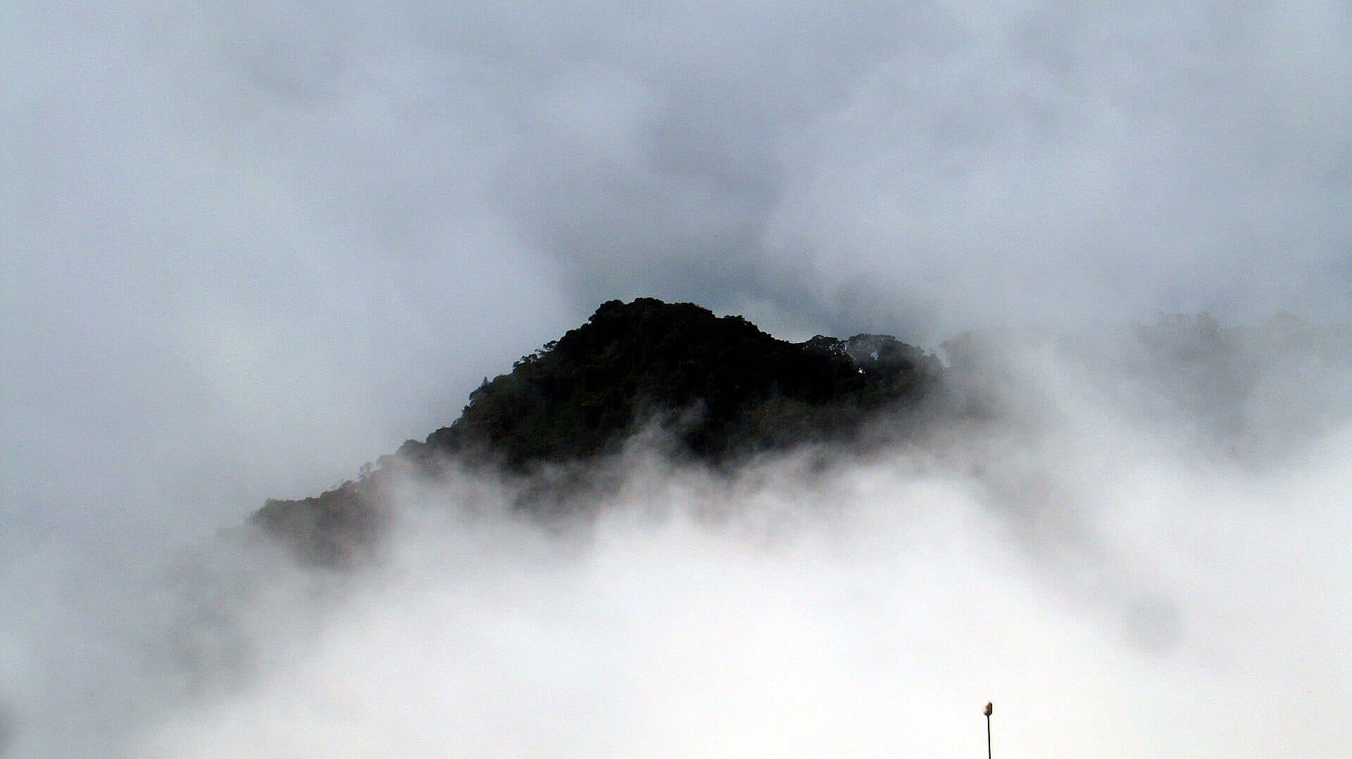 The peak of Gunung Brinchang emerging from thick cloud, Cameron Highlands