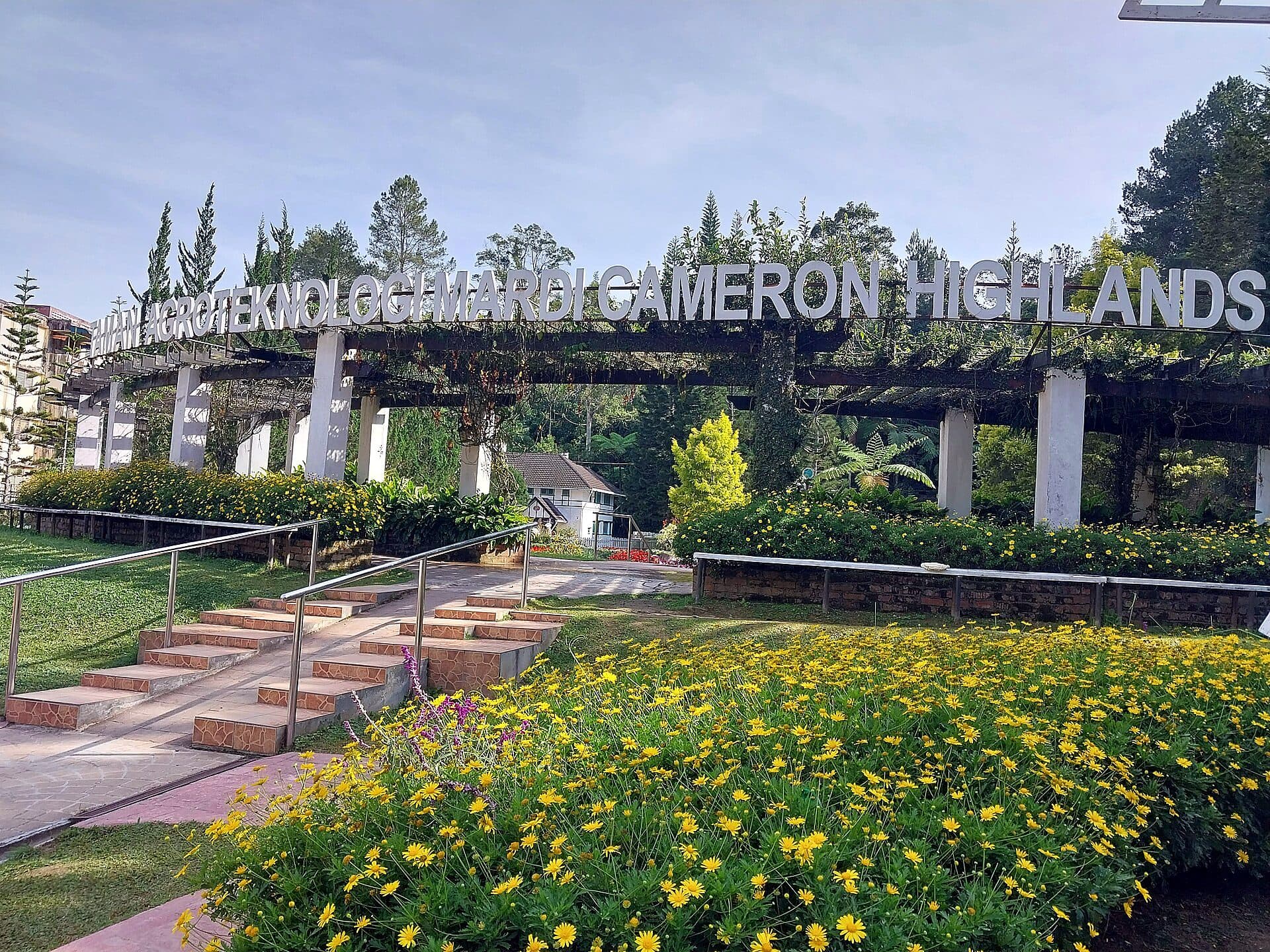 The entrance to the MARDI Agro Technology Park at Tanah Rata, Cameron Highlands, with yellow flower beds