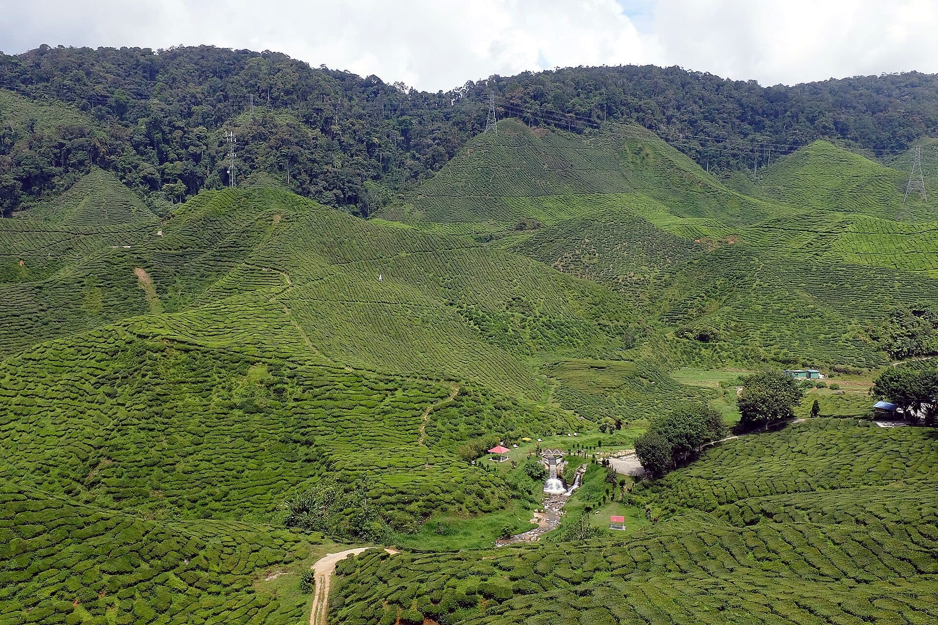 A wide valley of tea-covered hills in Cameron Highlands, with estate buildings and a road on the valley floor